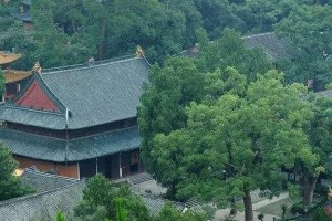 冯殿宇乒乓球——中国乒乓球运动员的传奇（他的成就、技术特点以及对乒乓球运动的影响）