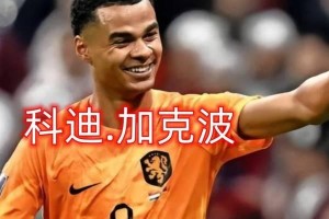 世界杯球队历史进球数排行（激励着球队追逐荣誉的记录之路）