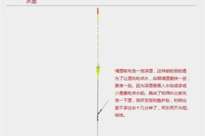 大杨哥钓鱼甩路亚技巧揭秘（从米数到鱼种，让你成为钓鱼高手）