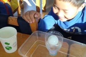 用水抓乒乓球教学，提高球技的秘诀（轻松掌握乒乓球技巧，让你成为球台上的王者）