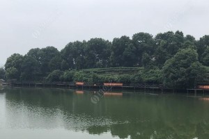 以野外农村用路亚钓鱼违法吗？（探讨农村路亚钓鱼合法性及监管）