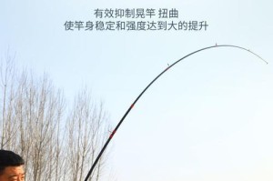 碳素路亚竿全套钓鱼竿的选择与技巧（掌握关键因素，提升钓鱼技术水平）