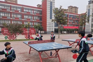牛街小学乒乓球教学的特色与成果（培养学生乒乓球兴趣，提高技能水平）