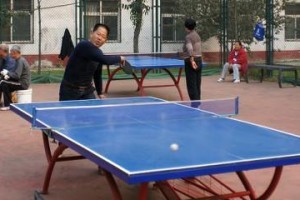 提高乒乓球技巧，攻防兼备（掌握关键技巧，成为乒乓球高手）