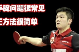 墙打搓乒乓球的技巧（提升乒乓球水平的秘诀）