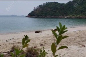 路亚钓法在海边是否适用（探讨路亚钓法在海钓中的优势与局限性）