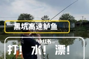 掌握路亚钓鱼竿打水漂技巧（提升钓鱼成功率的关键要素）