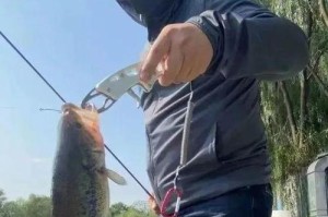 北方路亚钓鱼的适应性与挑战（探究北方地区进行路亚钓鱼的困难与解决方法）
