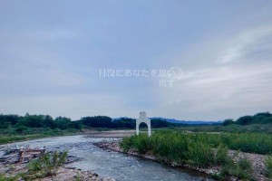 探秘路亚纺车轮小溪流钓鱼的乐趣（发掘神秘小溪中的丰富渔获，体验纺车轮技巧的精妙之处）