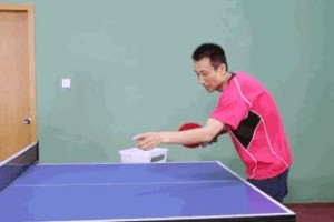 乒乓球技巧大揭秘（提高乒乓球水平的关键技巧解析）