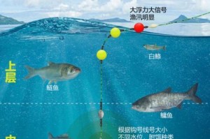 掌握路亚钓鱼线组安装接线方法（简单易学的钓鱼线组安装技巧）