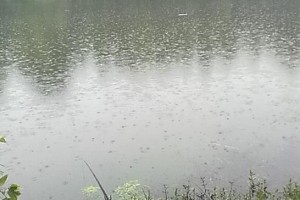 春雨滋润，路亚钓鱼乐趣无穷（探寻下雨天路亚钓鱼的技巧和乐趣）
