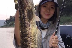 探秘大田县路亚钓鱼技巧（野钓达人分享的钓鱼心得与技巧）