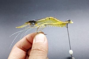 路亚新手钓鱼必备技巧——虾的使用方法（路亚新手钓鱼者必须了解的关于虾的使用技巧）