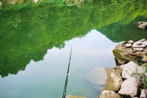 冬天路亚钓鱼的鱼窝寻找技巧（寒冬中捕获丰收，掌握鱼窝的秘诀）