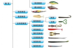 掌握路亚钓鱼的甩竿技巧（轻松学习路亚钓鱼甩竿，享受钓鱼的乐趣）