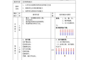 30招足球技巧大全（学习足球技巧，成为足球高手！）