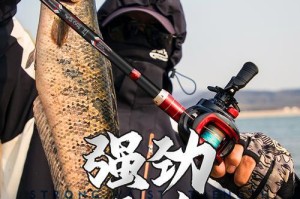 复刻佐大师路亚竿实战钓鱼之道（揭秘复刻佐大师路亚竿的实战效果与技巧）
