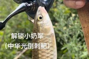 流水飞舞，路亚钓鱼的极速乐趣（极速刺激，挑战流水下的鱼群）