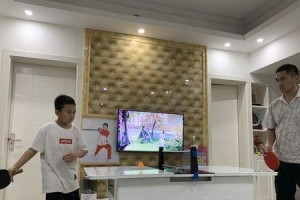 居家基本乒乓球训练方法（提升乒乓球技巧，享受运动乐趣）