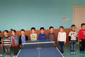 乒乓球陪训技巧和方法（提升乒乓球水平的实用指南）