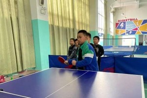 乒乓球考试理论考试全面解析（掌握乒乓球理论知识，轻松应对考试挑战）
