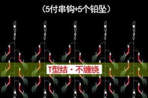 以路亚竿能上串钩钓鱼吗？（探索以路亚竿装配串钩的可行性及技巧）