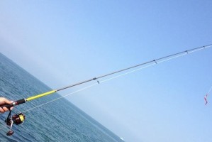河里钓鱼，使用路亚杆好吗？（探讨河里钓鱼的最佳工具和技巧）