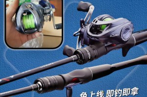 海边路亚钓鱼（探索海洋世界，体验路亚钓鱼的乐趣）