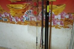 如何选择适合路亚钓鱼的竿子（探讨合适的竿长和关键因素）
